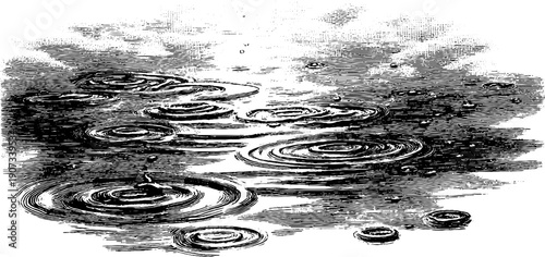 Botanical rain puddles sketched in vintage engraving style for nature design