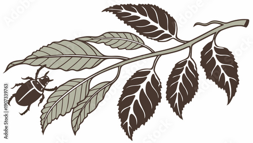 Vintage Botanical Illustration Branch with Beetle Pest Damage for Agriculture Pest Control or Garden Design Projects