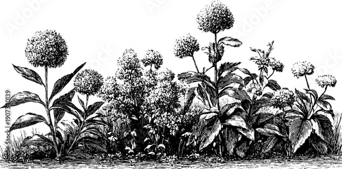 Vintage botanical allegory decorative poster design for seasonal themes