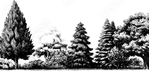 Vintage botanical sketch of seasonal trees for nature-themed designs