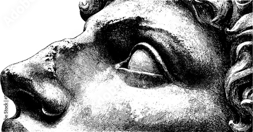 Simplified facial planes of statue in vintage botanical engraving style