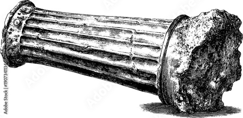 Vintage marble statue fragment: broken arm with botanical engraving for historical design and decor