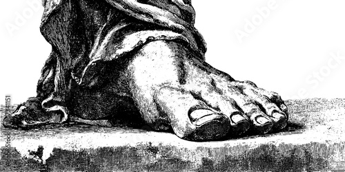 Vintage anatomical foot of statue engraving - historical botanical art for design