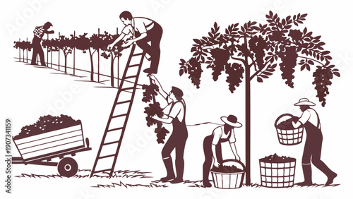 Grape Harvest Illustration Workers Picking Ripe Fruit for Wine Production Seasonal Agriculture Vineyard Labor Design Element