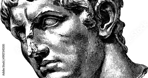 Vintage botanical engraving of expressionless statue head for artistic design