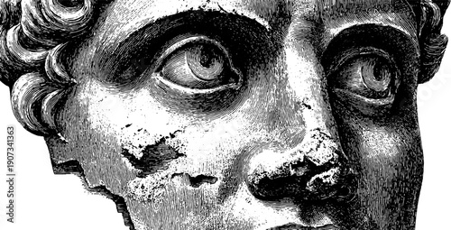 Vintage botanical engraving of statue head fragment for artistic design