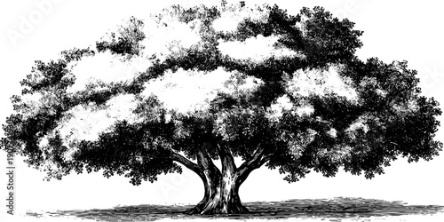 Serene summer allegory with vintage botanical tree in standing pose