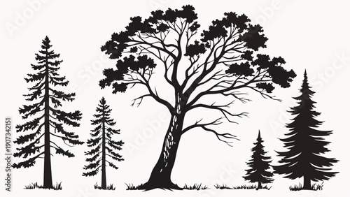 Diverse Forest Silhouette Set Pine and Deciduous Trees for Nature Design Landscape Illustration Outdoor Adventure Graphics