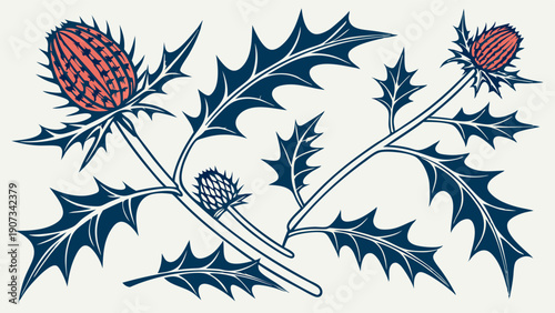 Scottish Thistle Botanical Illustration for Heritage Branding Textile Design Elegant Floral Pattern for Scottish Event Decor