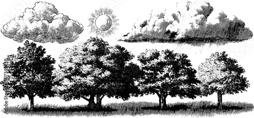 Vintage botanical weather phenomena engraving with trees and clouds for design