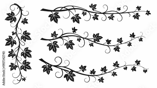 Elegant Black Grapevine Border Flourish Vector Set for Wedding Invitations Winery Labels Elegant Page Dividers