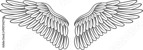 Gothic wings drawing. Bird feathers abstract logo