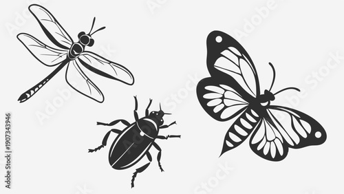 Black and White Insect Icons Dragonfly Butterfly Beetle for Nature Education Science Projects Summer Design Elements