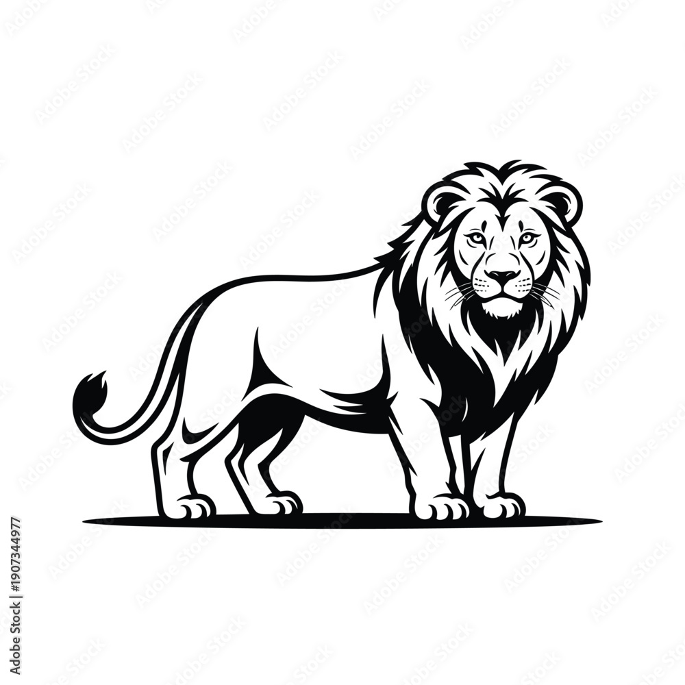 Obraz premium Black and white of a lion standing on all fours animal wildlife de