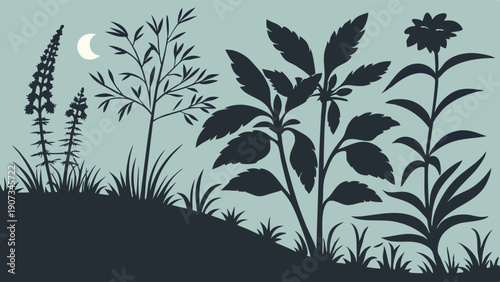 Night Garden Silhouette of Wildflowers and Foliage for Nature Design Projects Calm Serene Landscape Backdrop