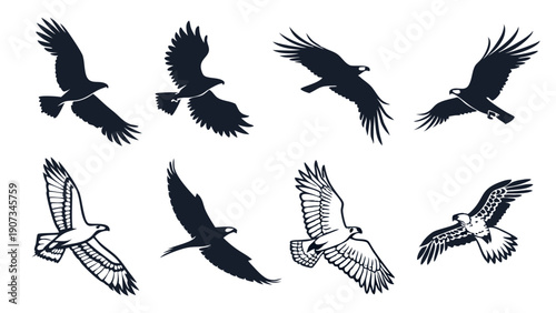 Majestic Eagle Bird Flight Silhouette Set Dynamic Wildlife Iconography for Freedom Adventure Travel Design Projects