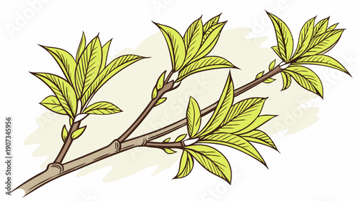 Spring Branch Budding with Fresh Green Leaves for Seasonal Gardening Web Design and Nature Backgrounds