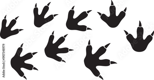 Black animal paws with claws on white background black paws clawed feet