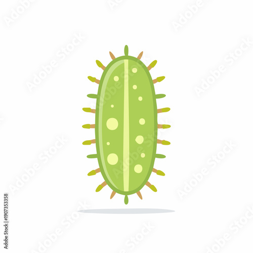 Cartoon Green Bacterium with Spikes Oval Shape Illustration