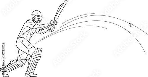 cricketer play cricket on the fields