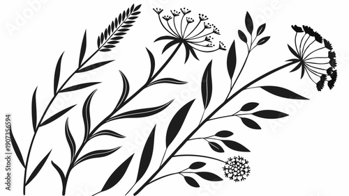 Minimalist Black and White Botanical Herb and Wildflower Silhouettes for Rustic Wedding Invitations or Organic Branding Design