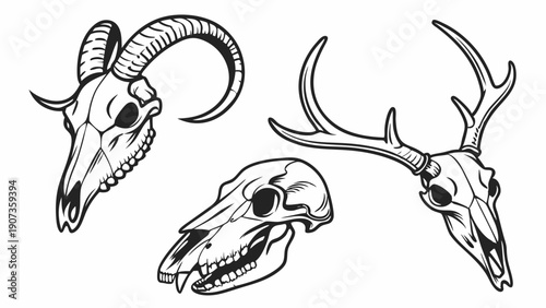 Ram Deer and Bear Skulls Set for Tattoo Design Horror Gothic Decoration or Halloween Graphic Element