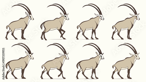 Oryx Animal Gait Cycle Animation Sequence for Wildlife Documentary or Educational Web Design Motion Graphics