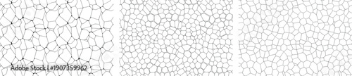 Set of hand drawn vector textures, monochrome geometric cellular patterns, Voronoi diagrams, organic mosaic stone paving, and abstract line art backgrounds