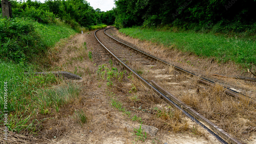 Obraz premium Curving Railway Track Through Green Countryside Landscape. Scenic railway track curving through lush green countryside surrounded by trees and grass.
