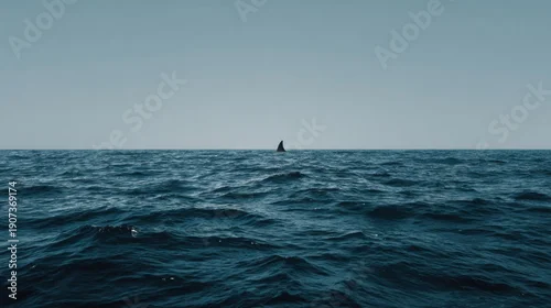 Fototapeta Conceptual Ocean Scene With Dolphin Fin Barely Visible in Vast Water and Clear Sky, Hinting at Connection With Nature and Marine Life