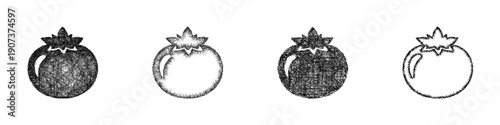 Sketch tomato icon design set