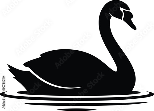 Elegant black swan swimming gracefully beautiful bird nature wildlife silhouette vector illustration