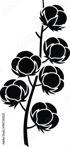 Natural cotton plant branch with fluffy bolls agricultural product silhouette vector illustration