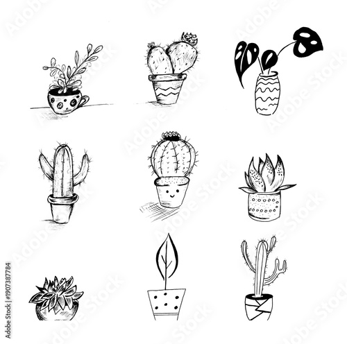 Pen and ink doodle sheet of succulents, cacti and plants illustrated in a hand-drawn style with clear isolated background, tiny tattoos 