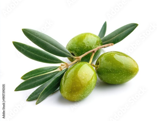 Wallpaper Mural Close-up of glossy green olives on a branch with leaves, isolated against a white background Torontodigital.ca