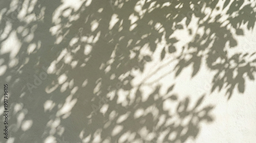 Shadowy Silhouette of Leaves: Sun-dappled patterns dance across a textured surface, a play of light and shadow evoking a sense of calm and natural beauty.