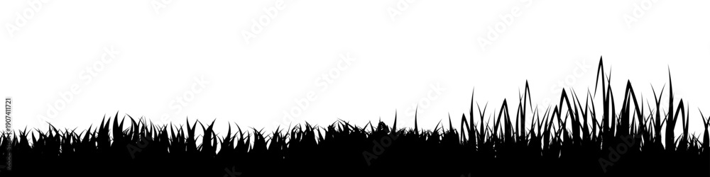 Fototapeta premium Meadow silhouette with grass, plants on plain. Panoramic summer lawn landscape with herbs, various weeds. Herbal border, frame element. Black horizontal banners. Vector illustration