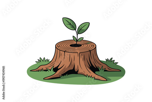 Cut Tree Stump With Roots and Fallen Leaf