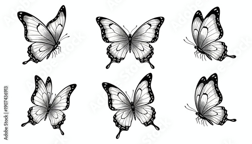 Collection of six black and white butterfly illustrations.