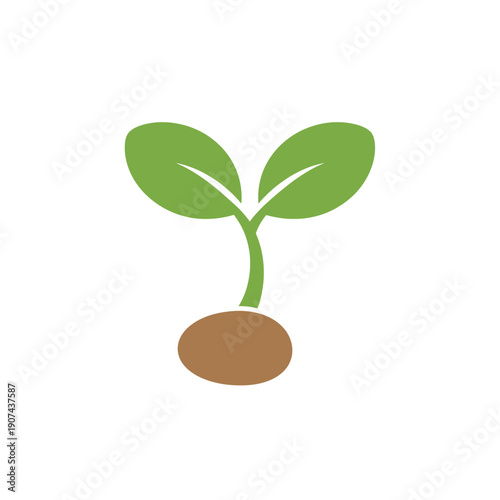 A vector 2D illustration of a green plant sprout growing from brown soil
