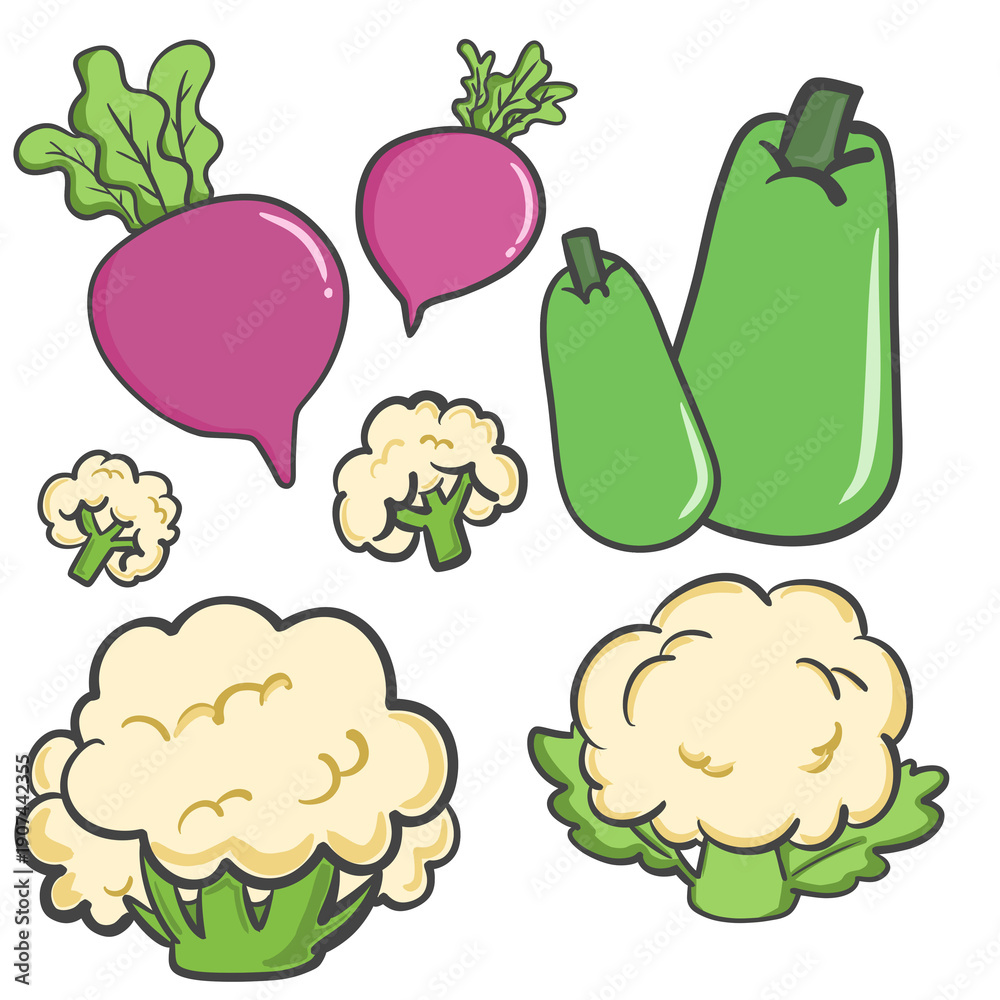 Fototapeta premium Fresh beetroot cauliflower and opo squash clipart set, organic bottle gourd and purple garden beet isolated on transparent background for healthy food design