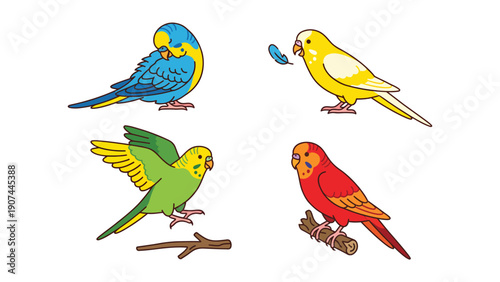 Colorful Cartoon Parrots and Budgies Vector Set. Cute Pet Birds Illustrations with Different Poses