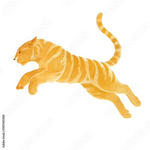 vector illustration of a tiger