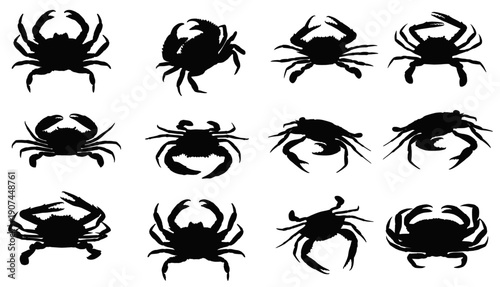 Crab Silhouette Collection: a striking group of crab silhouettes against a clean backdrop, perfect for design and marine concepts.
