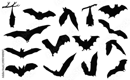 Bats Silhouette Collection: A captivating array of bat silhouettes against the mysterious darkness, perfect for a haunting atmosphere or Halloween projects.