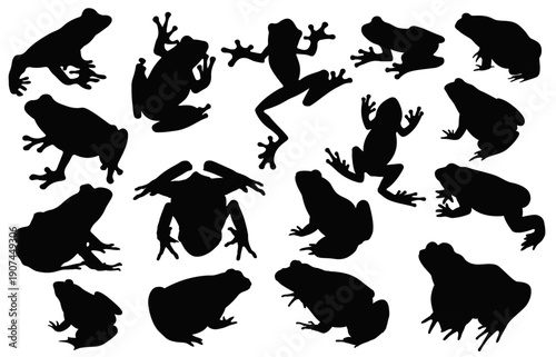 Frogs Silhouette Composition: A curated collection of silhouette frogs, showcasing their unique forms and poses, perfect for creative design and nature-inspired projects.