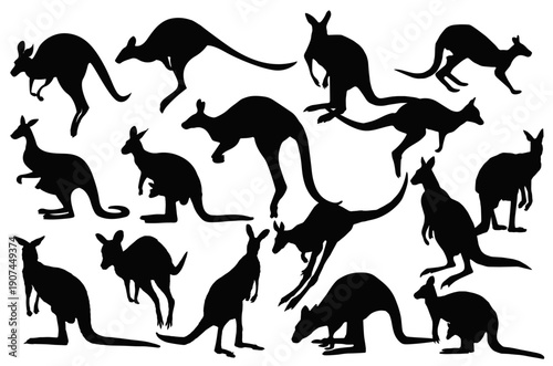 Kangaroo Silhouette Showcase: A collection of various kangaroo silhouettes, each capturing the distinct form and dynamic movement of these iconic marsupials, set against a pristine backdrop.