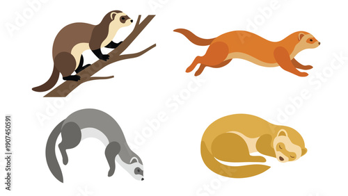 Mustelid Animals Vector Set. Flat Illustrations of Ferrets, Minks, Stoats in Diverse Poses: Running, Climbing, Sleeping.