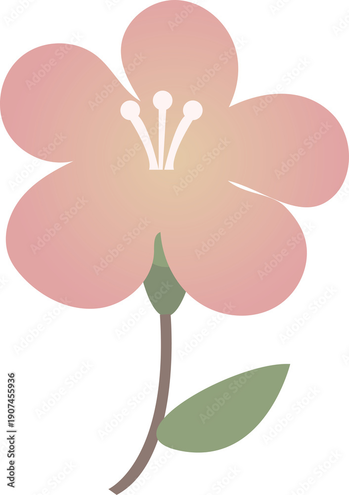 Fototapeta premium 벚꽃