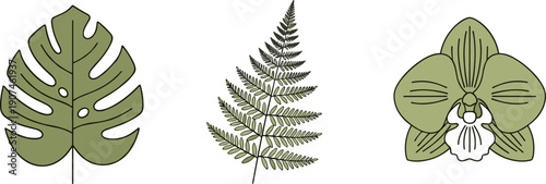 Monstera leaf, fern frond, and orchid flower in a minimalist green line art style